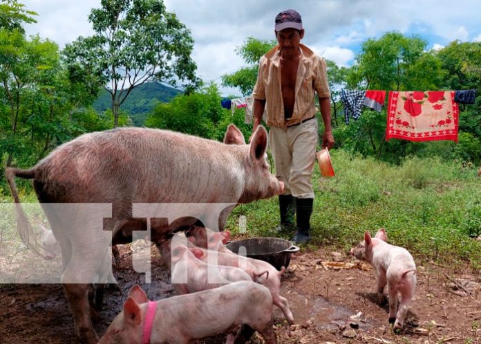 Productores de San Lucas aprovechan estrategia de escuelas técnicas del campo