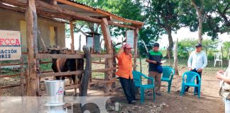 Capitalizan a pequeños productores ganaderos de San Lucas, Madriz