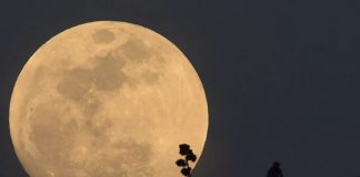 Superluna y Perseidas, dos espectáculos en una misma noche