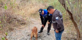 ¡De terror! Encuentran fosa común con restos humanos en Ecuador