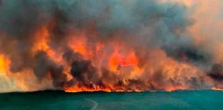 Incendios forestales arrasan con Francia debilitada por la sequía