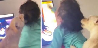 La madre prefirió grabar en TikTok y reírse de su hija