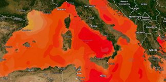 España reporta temperaturas jamás antes vistas en el mar Mediterráneo