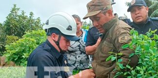 Al intentar rescatar a "Oso" cae a un barranco en El Crucero, Carazo