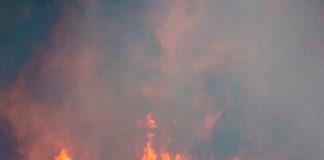 Al menos 48 personas arrestadas en Francia por ocasionar incendios