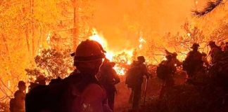 Espeso humo de incendio forestal "se traga" a Oregon, Estados Unidos