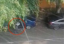 Video: Hombre suplica a gritos a ladrón que no le roben nada