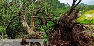 Nicaragua en alerta roja tras el paso de la tormenta tropical "Julia"