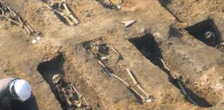 La peste negra de hace 700 años sigue afectando tu salud ahora