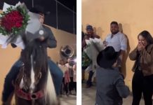 Novio llega a pedir matrimonio montado en un caballo