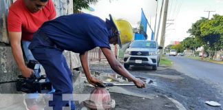 Bomberos de Nicaragua realizan inspección de hidrantes en mercado Oriental