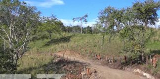 Foto: Año nuevo, vida nueva para familias de las comunidades de San Ramón, Matagalpa / TN8