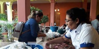 Dinamismo económico en Jinotega con la celebración de la Gritería a María