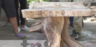 Foto: El arte de la "madera muerta" en Rivas / TN8