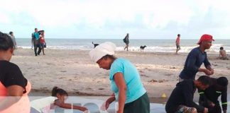 Camarones Jumbo comercializados en mercados de Bilwi