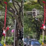 Hace danza aérea en semáforo para poder ganarse la comida diaria