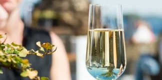 Si planeas dejar el alcohol estos son algunos tips que te ayudarán