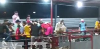 Foto: Tipitapeño perece tras ser corneado por un toro en la barrera "El patrón" / TN8