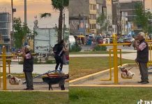 Abuelito mayor sale a columpiar a su perrito