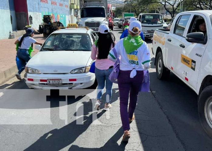 Foto: Alcaldía de Managua entrega sacos reciclables para la basura / TN8