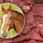 Mandan a la cárcel a 15 personas por venta de carne de caballo en Francia