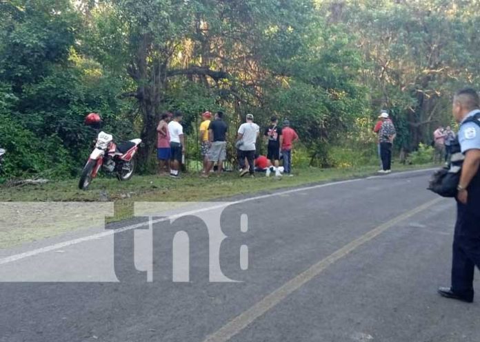 Foto: Fallecido por accidente en Granada / TN8