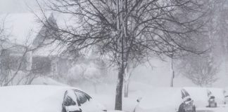 Estados Unidos: Tormenta invernal pone a 16 estados bajo alerta