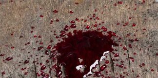 Foto: Charco de sangre / GETTY