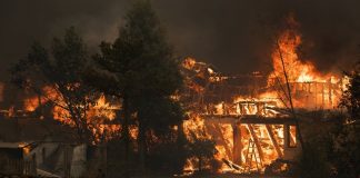 Foto: Aumentan a 22 las víctimas por incendios forestales en Chile / Cortesía