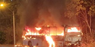 Foto: Un bus que transportaba migrantes se incendió, en Panamá / Cortesía