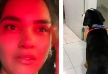 Llora desconsolada al ver que le cortaron mal el pelo a su perro