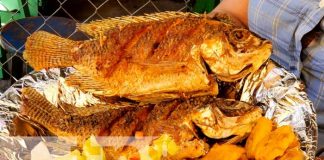 Foto: Feria gastronómica con Comidas de Cuaresma en el Mercado de Estelí / TN8