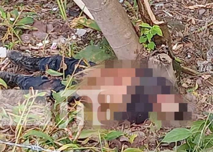 Foto: Encuentran cuerpo entre la maleza en Malacatoya, Granada / TN8