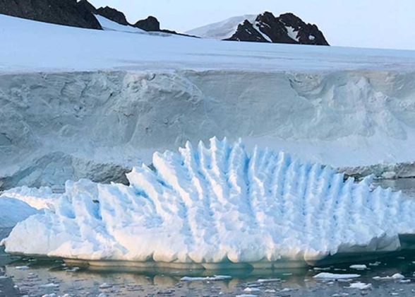 ¿catástrofe En Océanos Hielo Marino De La Antártida Alcanzó Mínimos