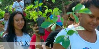 “Verde, que te quiero verde” tiene el 91% de avance en Nicaragua