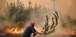 Foto: Chile se encuentra en estado de emergencia por incendios forestales / Cortesía