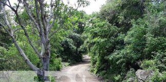 Más comunidades beneficiadas con inauguración de caminos en Jinotega