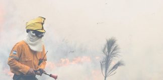 Incendio consume 3 mil hectáreas en Argentina