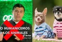 Sacerdote pide no humanizar a los animales “No valen más que un humano”