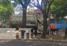 Foto: Alcaldía de Managua multa a quienes incumplan con la basura / TN8