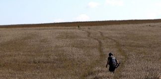 Rusia califica acuerdo de cereales como gesto de buena voluntad