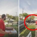 Momento épico cuando repartidor de pizza ayuda a detener a un ladrón