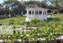 Foto: Gratuito, colorido y fresco: Alcaldía de El Crucero inaugura el "Parque de Las Mil Flores" / TN8