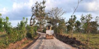 Avanzan obras de camino en Nueva Guinea