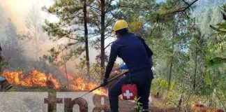 Bomberos en Nueva Segovia atienden una quema de maleza en San Fernando