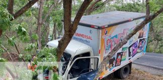 Foto: Camión repartidor de productos escolares se estrella contra un árbol en Totogalpa, Madriz / TN8