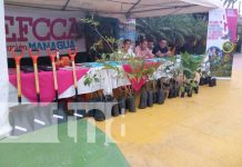 Foto: Realizan «Expo-Tecno Productiva» en el Puerto Salvador Allende, Managua / TN8