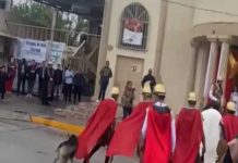 VIDEO: ¡Guau! El perrito de Coahuila, que se ha ganado la admiración y se viralizó