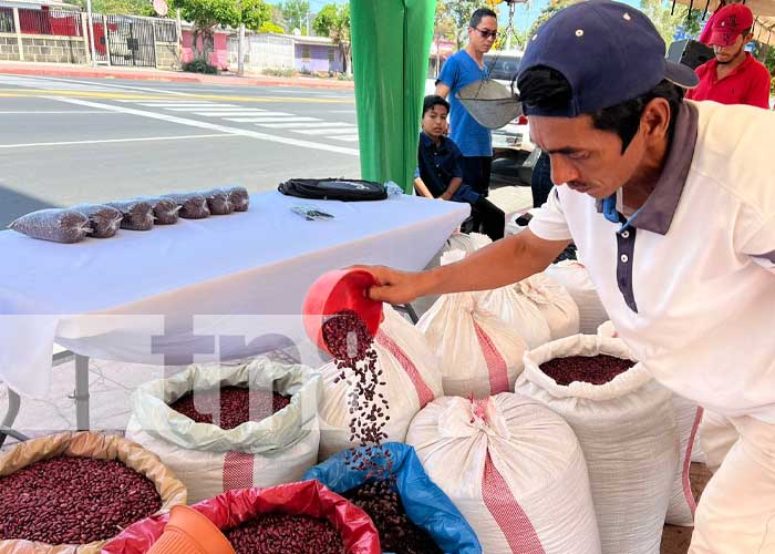 Feria del verano con precios favorables en la rotonda Hugo Chávez, Managua