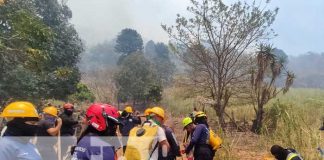 Diversos incendios han dejado varias manzanas de cerros quemados en Jinotega